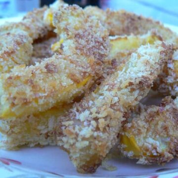 Vegetarian keto recipes - summer squash fries