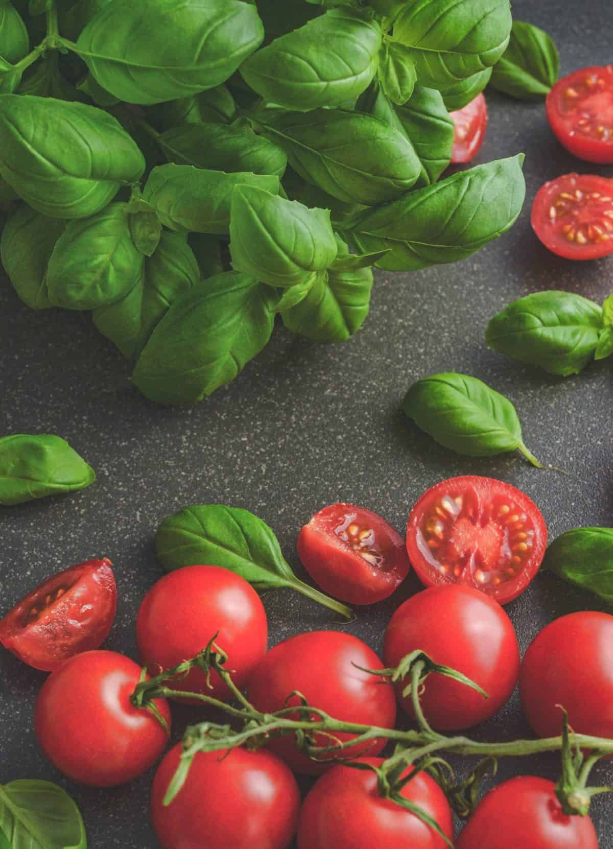 container gardening - tomatoes and basil on counter