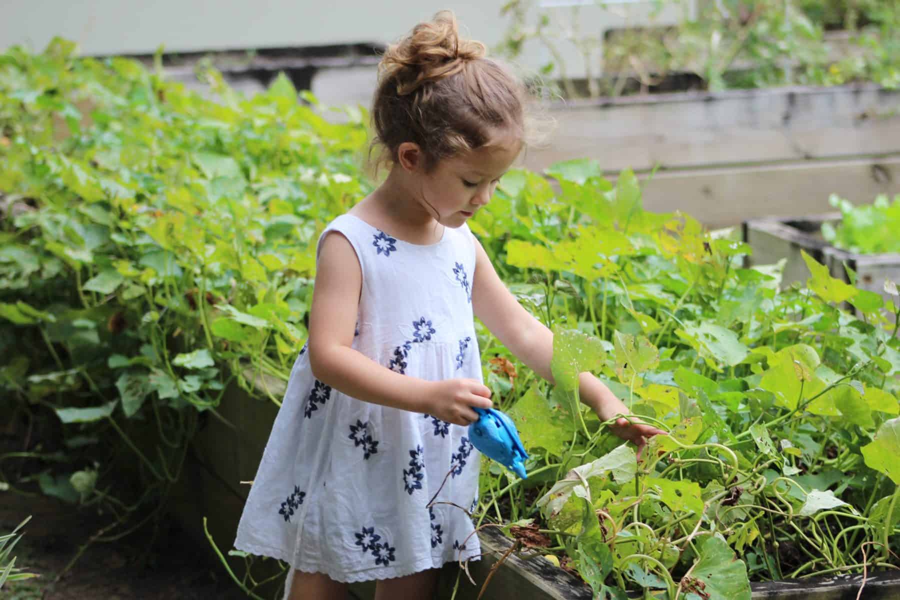 benefits of gardening for kids - little girl in sundress watering a veggie garden