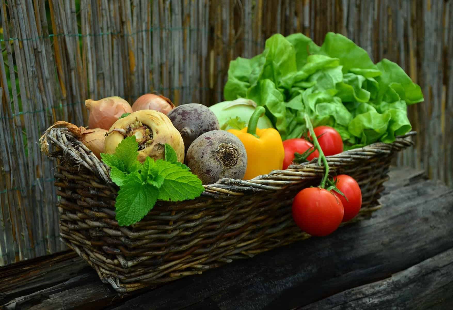 vegetable gardening tips - basket of harvested veggies