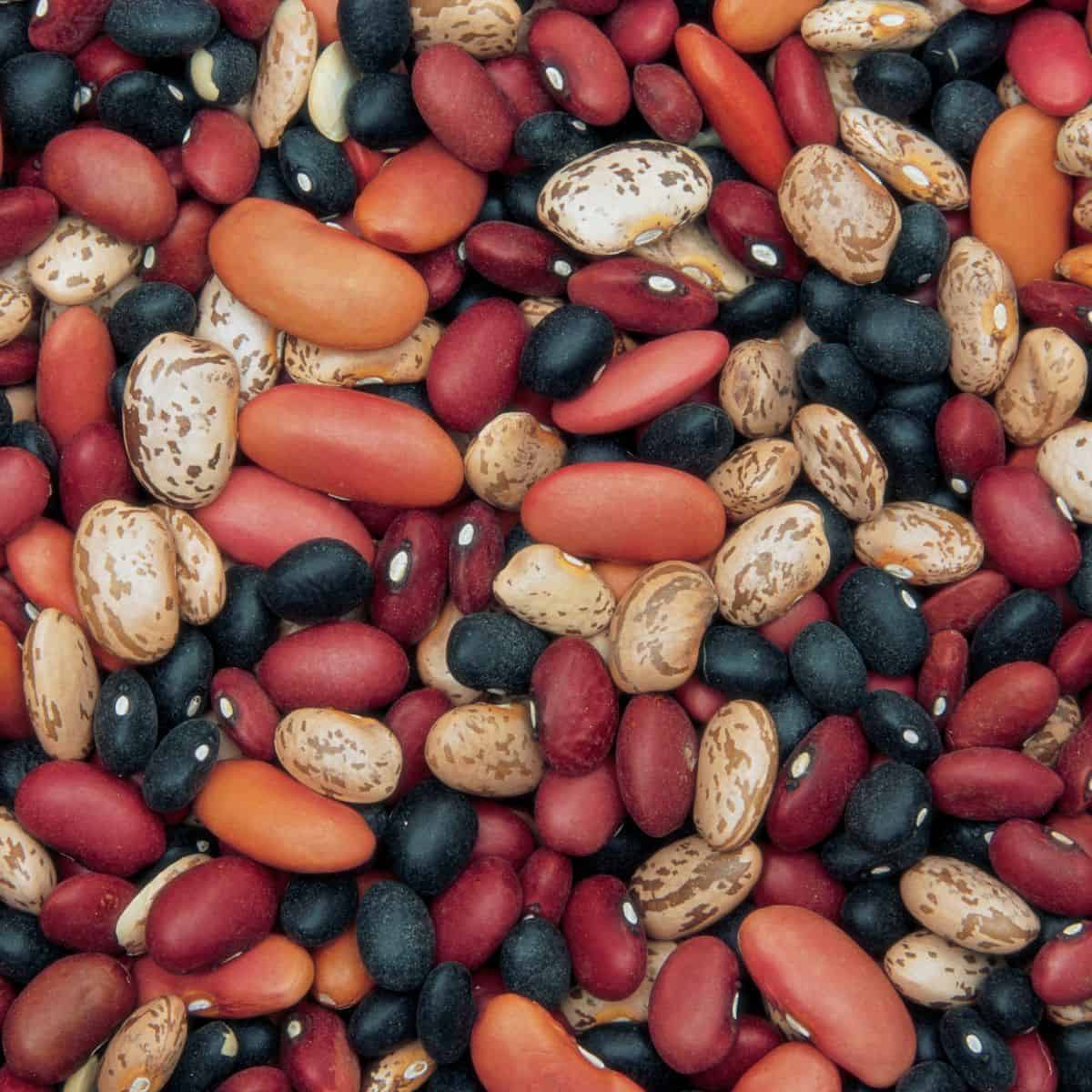 Mixed dried beans.