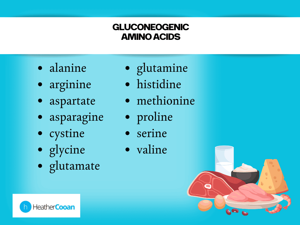 List of gluconeogenic amino acids.