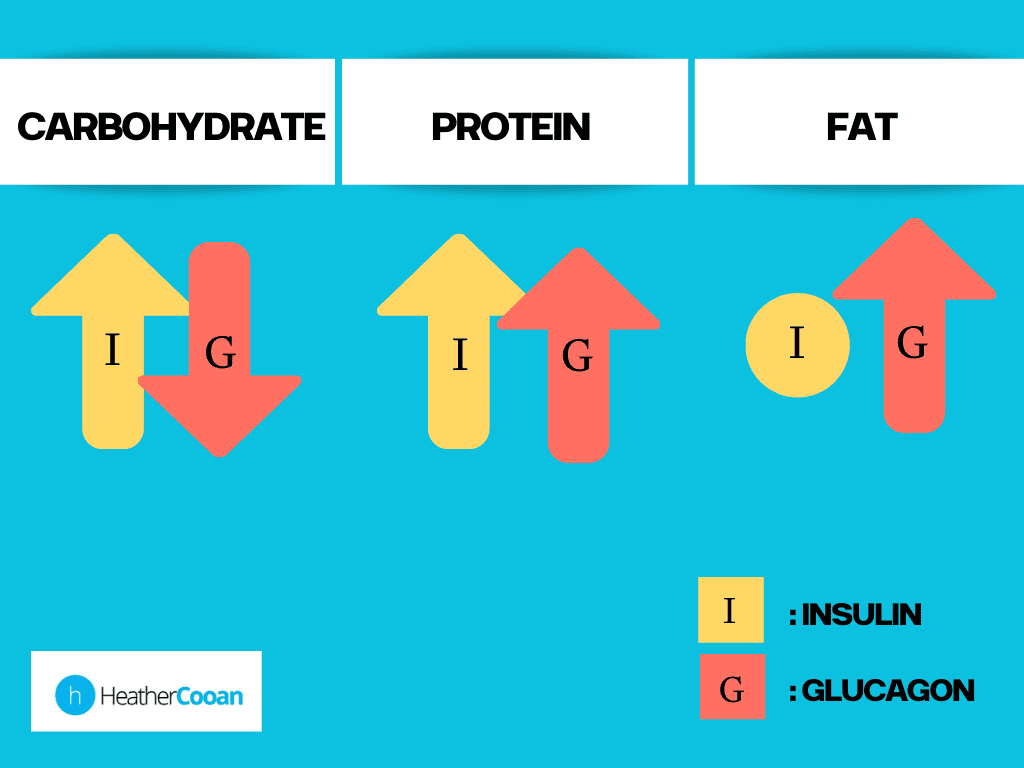Insulin-Glucagon Conventional Model