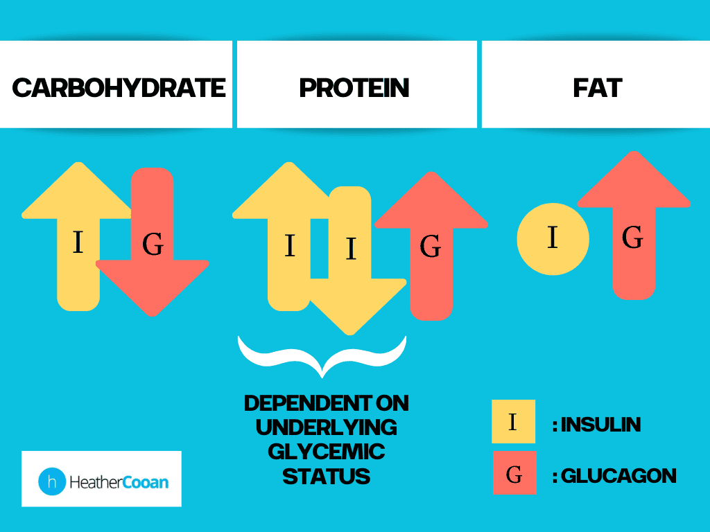 Insulin-Glucagon New Model