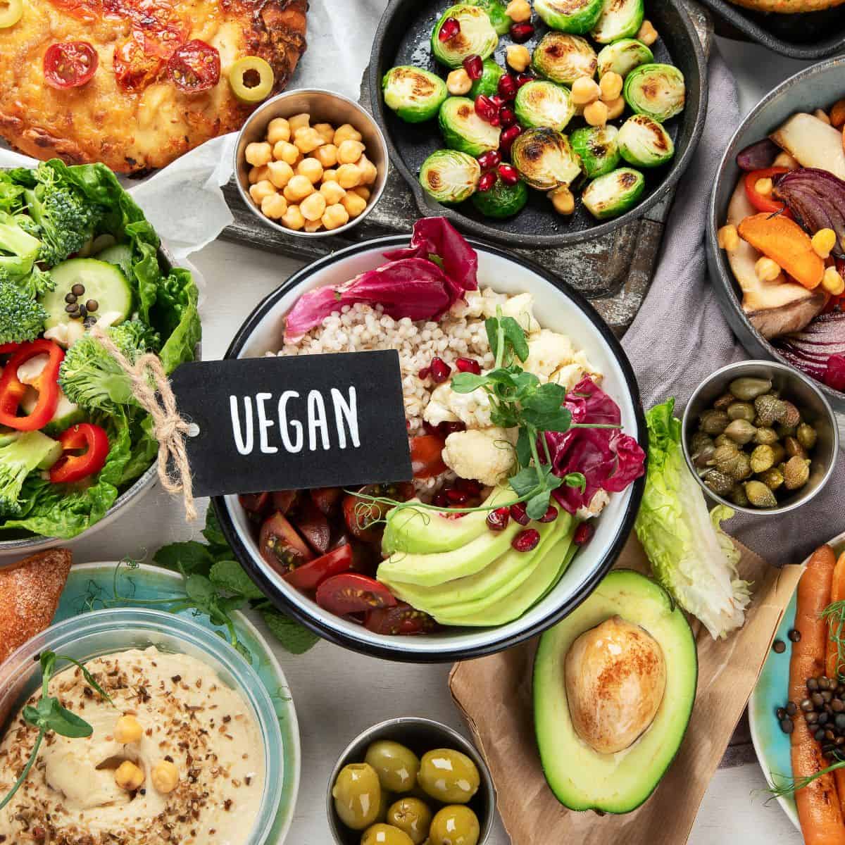 Vegan dishes on a table