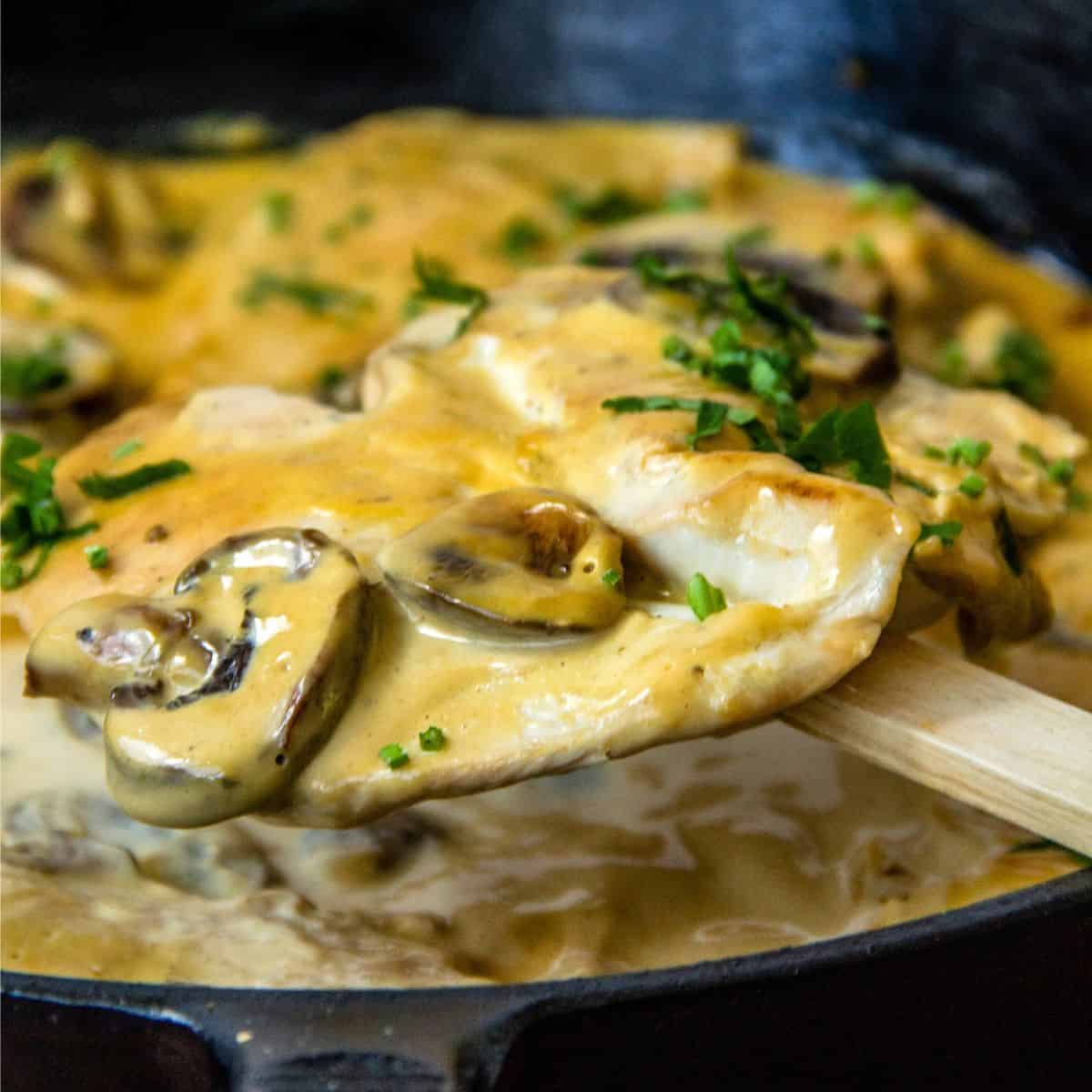 A chicken breast lifted on a wooden spoon, coated in Dijon mushroom sauce and parsley, in a cast iron skillet.